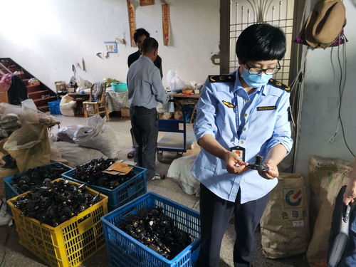 浙江發(fā)布打擊侵權(quán)假冒商品典型案例，化妝品批發(fā)領(lǐng)域成重點